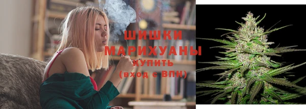 PSILOCYBIN Гусев