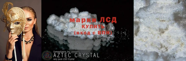 PSILOCYBIN Гусев