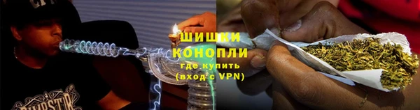 твердый Горняк