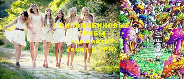 не бодяженный Гусь-Хрустальный