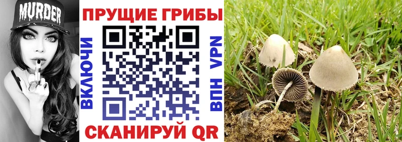 Галлюциногенные грибы GOLDEN TEACHER  Купить закладки  Лиски 